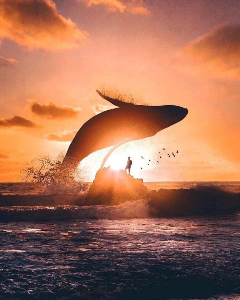 Read more about the article 